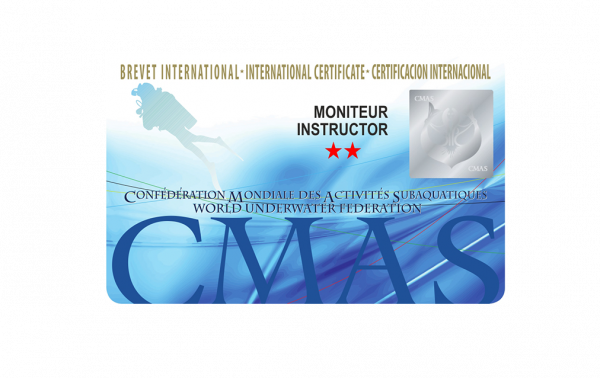TWO STAR INSTRUCTOR